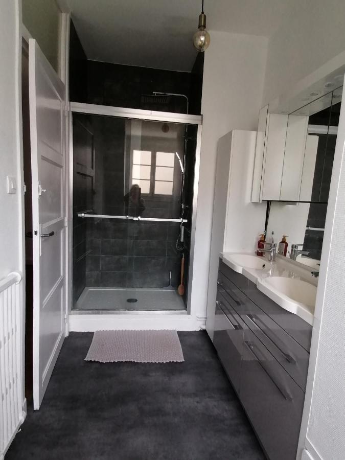 Appartement 85 m2 centre-ville entièrement rénové Le Creusot Exterior foto